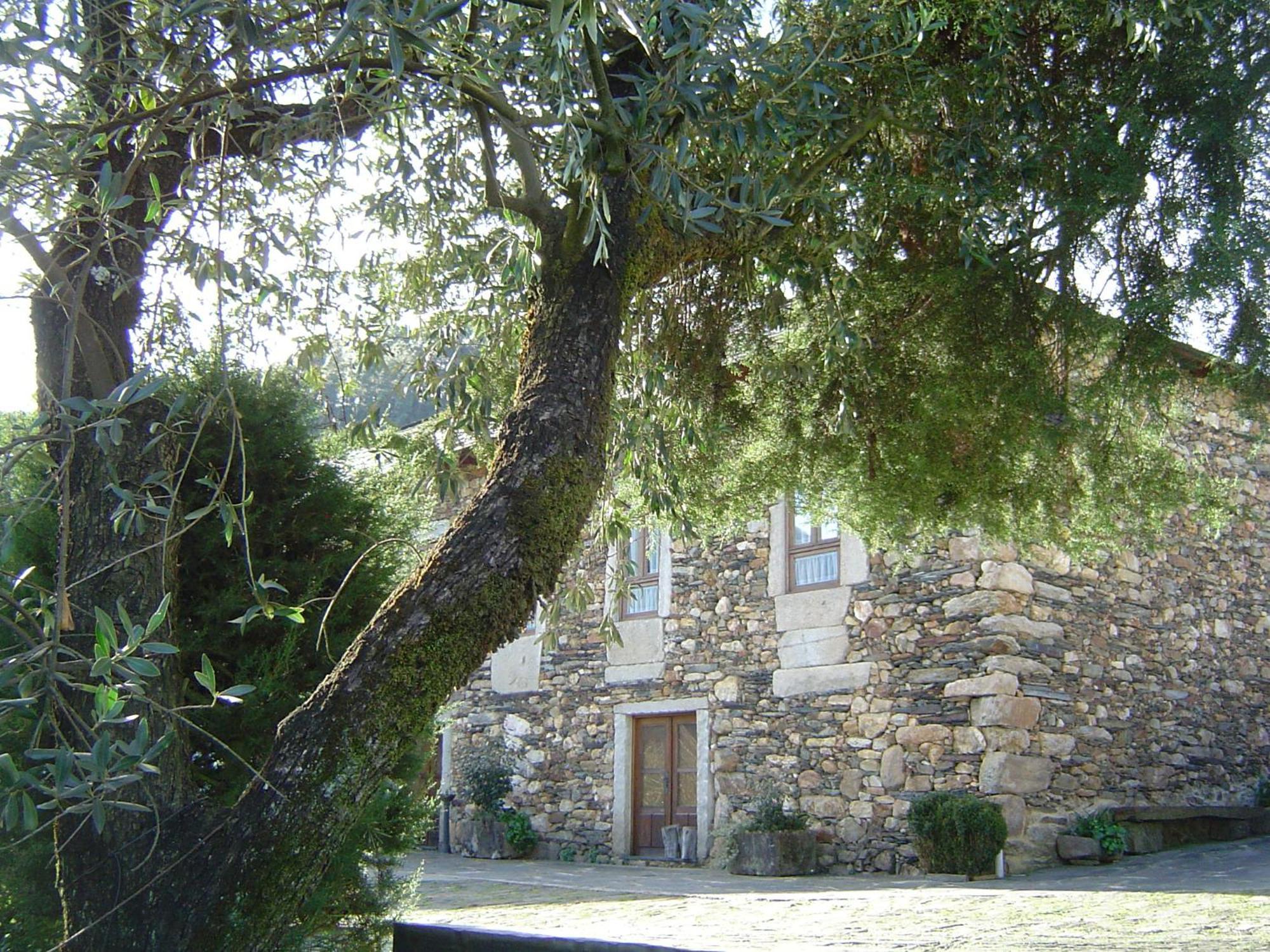 منزل الضيف اروكا  في Casa Do Pinto المظهر الخارجي الصورة